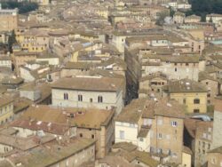 Semplificate le modalità per l'accesso in ZTL di NCC e invalidi