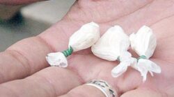 Spaccio di cocaina: due arresti