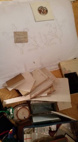 Ancora un tentato furto nella Giraffa