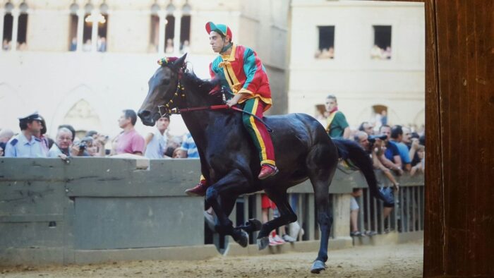 Alessio Migheli, fisioterapia e tanta grinta