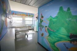 Una giornata a Monticiano per aiutare Maat