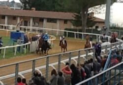 Corse a Monteroni, in evidenza Tittia, Gingillo e Amsicora