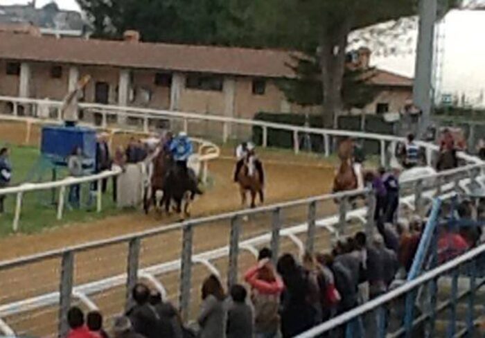 Corse a Monteroni, in evidenza Tittia, Gingillo e Amsicora