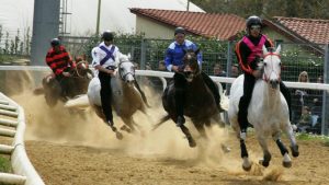 25 aprile con le corse a Monteroni