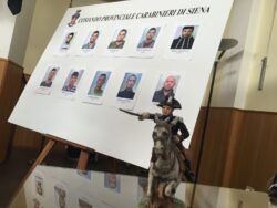 Arrestati albanesi autori di centinaia di furti-FOTO E VIDEO