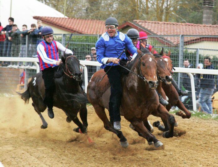 Domenica 17 tornano le corse di Monteroni d'Arbia