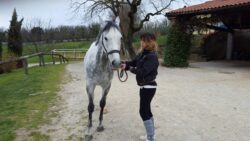 Visite dei cavalli per l'ammissione all'Albo 2018, tutti gli orari