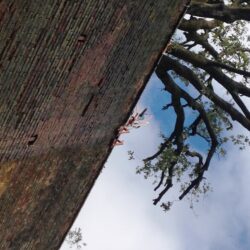 Senese di 47 anni si butta da Fortezza