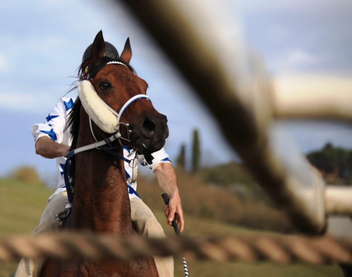 Pian delle Fornaci: il programma con otto corse e inizio ore 13,45