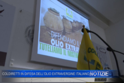 Coldiretti in difesa dell'Olio Extra Vergine Italiano