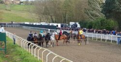 In corso blitz della Forestale a Pian delle Fornaci: prelievi a tutti i cavalli