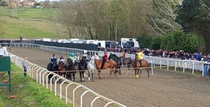 In corso blitz della Forestale a Pian delle Fornaci: prelievi a tutti i cavalli
