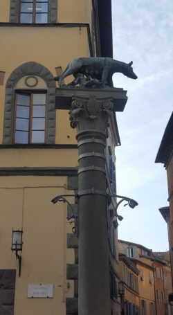 Lupa di Piazza Tolomei, via l'impalcatura