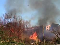 Fiamme a dieci metri dalle case