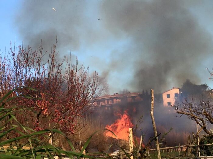Fiamme a dieci metri dalle case