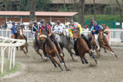 Programma corse a Pian delle Fornaci