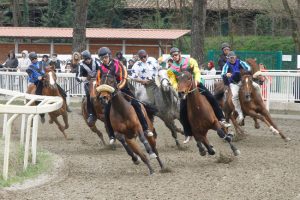 Programma corse a Pian delle Fornaci