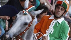 Silvano Mulas: "Basta con il Palio di Siena"