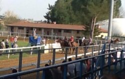 Corse a pelo di Monteroni d'Arbia nuovamente rinviate