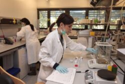 Scienze per la vita e contrasto alle pandemie, approvato lo statuto della Fondazione Biotecnopolo di Siena