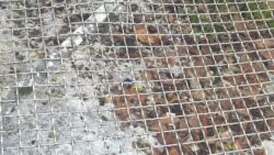 Siringhe in Fortezza, i bambini scrivono al sindaco