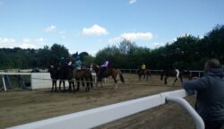 Secondo appuntamento di corse a Monticiano: sette batterie