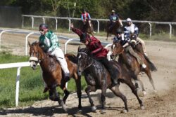 Rinviate le corse di addestramento di Monticiano