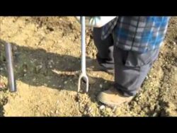 Cgil su illegalit&agrave; nella manodopera agricola: "Un pericoloso aumento anche a Siena"