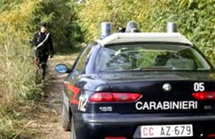 Genitori perdono i figli nel bosco