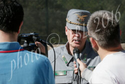 Indagine Forestale, trasferiti a Radicondoli i due cavalli sequestrati