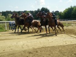 Monticiano, prime ipotesi per il lotto di luglio