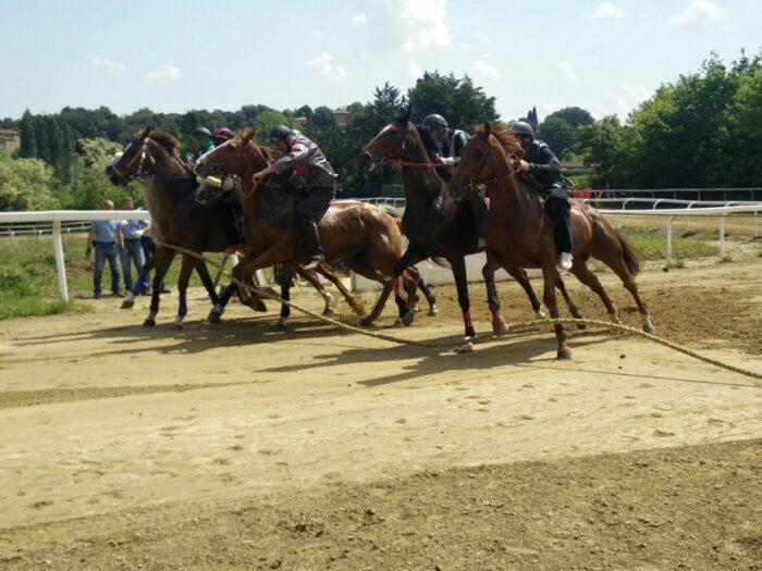 Monticiano, prime ipotesi per il lotto di luglio