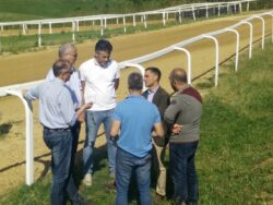 Mociano alla ricerca del serio impegno