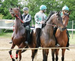 Monticiano, le batterie di lunedì 15 maggio