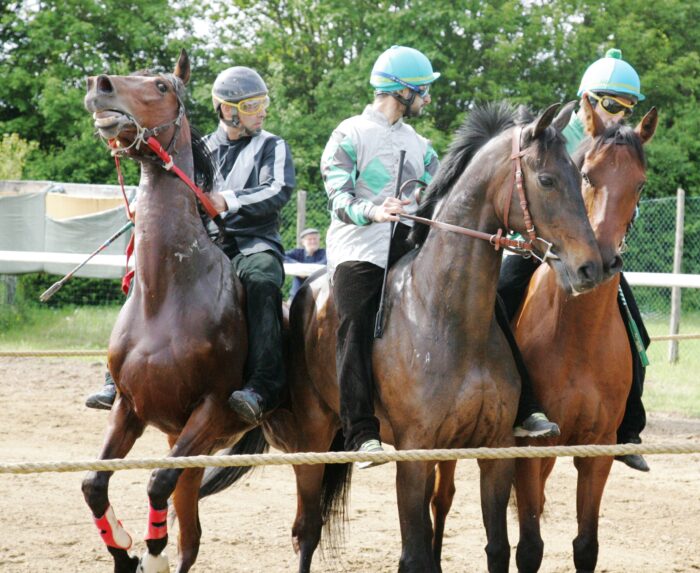 Monticiano, le batterie di lunedì 15 maggio