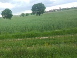 Si uccide nel laghetto a Cuna