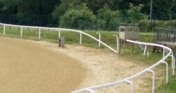 Pista di Mociano: cavalli al pascolo e steccati divelti - IL VIDEO