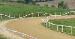 Mociano, gi&ugrave; tutti gli steccati