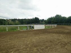 Corse a Monticiano, si recupera il 24 maggio