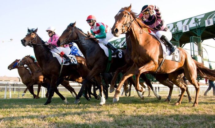 Corse al Casalone, appuntamento per gli appassionati di ippica