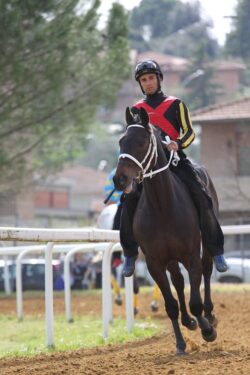 Mandibola e scapola rotte per Federico Arri
