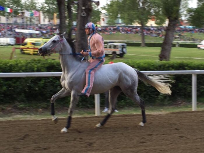 Fucecchio: il palio lo vince Giuseppe Zedde per Massarella