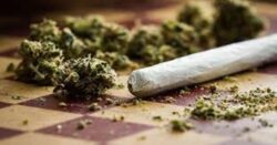 Marijuana nascosta negli abiti di un ventiduenne