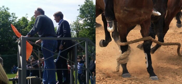 Mossiere e canape: tradizione o sicurezza?