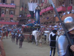 Sei saggi per il Museo del Palio: ecco chi sono