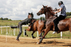 Sette batterie a Mociano - LE FOTO
