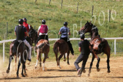 Mociano, ultimo appuntamento - Il programma