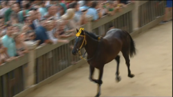 Terza Prova 30062016