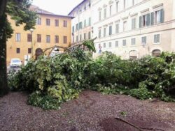 Temporale flagella Siena: fulmine a Sant'Agostino FOTO E VIDEO