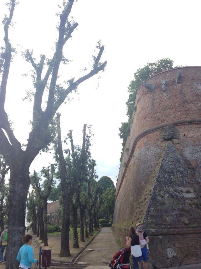 A 27 anni si butta da Fortezza: &eacute; vivo